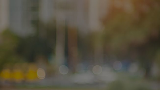 This Is Video Alt Text